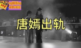 冯绍峰酒店爆料视频播放,揭秘明星私生活背后的真相